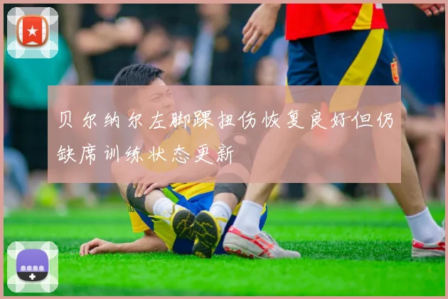 贝尔纳尔左脚踝扭伤恢复良好但仍缺席训练状态更新