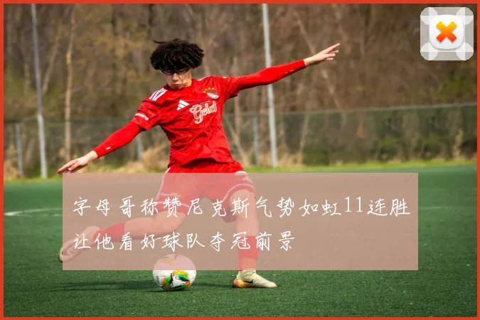 字母哥称赞尼克斯气势如虹11连胜让他看好球队夺冠前景